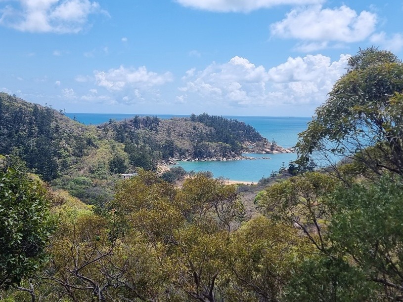 Campervan Road Trip from Cairns to Brisbane 14 Magnetic Island — Koalas Coastal Views 3