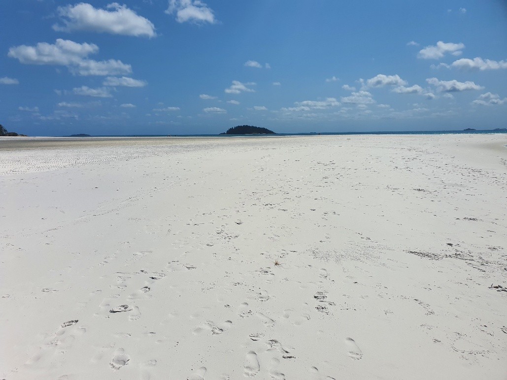 Campervan Road Trip from Cairns to Brisbane 20 Whitehaven Beach — Australias Most Beautiful Beach 2